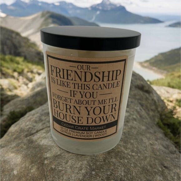 Our Friendship Is Like This Candle... If You Forget About Me I'll Burn Your - Picture 1 of 10